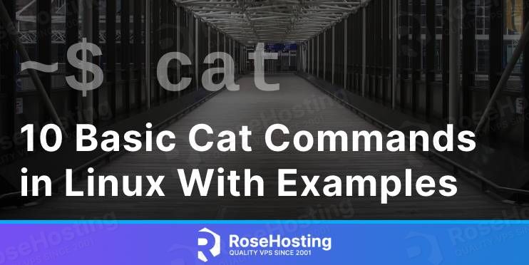 10 Basic Cat Commands in Linux With Examples