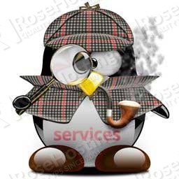 How to List All Running Services in Linux