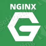 build-nginx-with-pagespeed-module