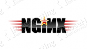 Nginx-logo