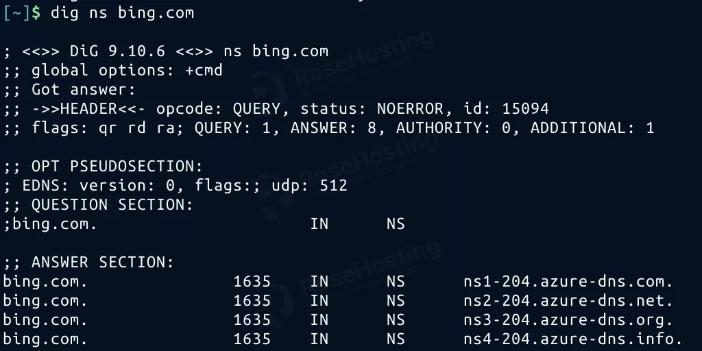 dig ns for bing.com